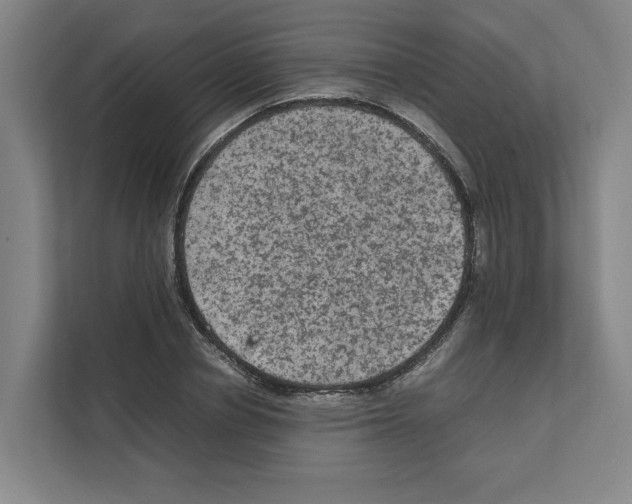 X0000111810834200909031428