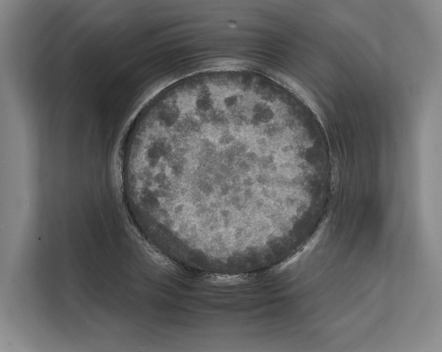 X0000111810835200909031428
