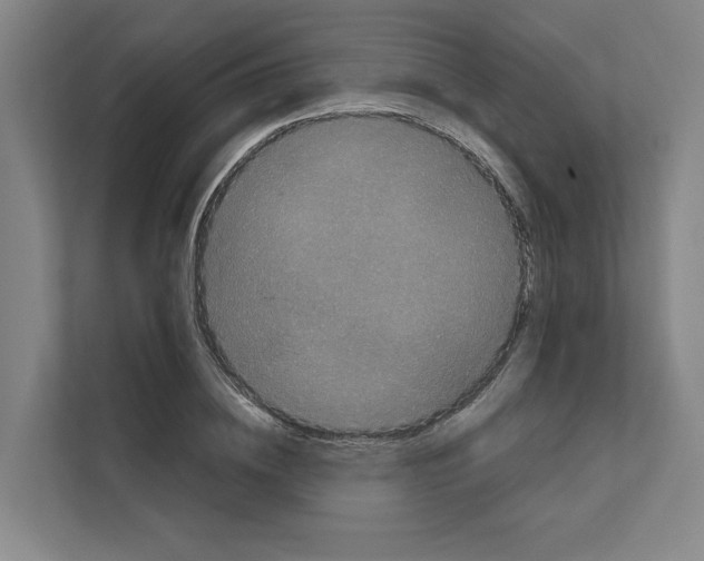 X0000111810836200909031428