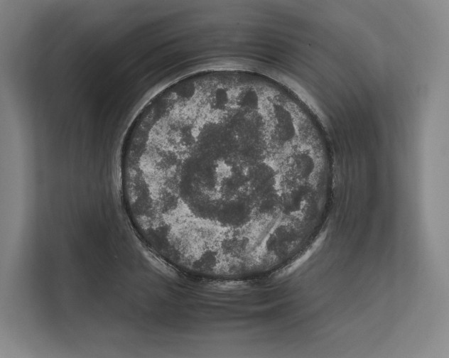 X0000111810837200909031428