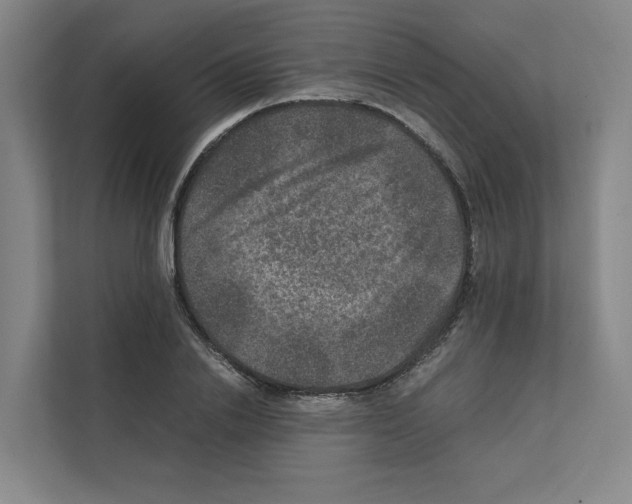 X0000111810838200909031428