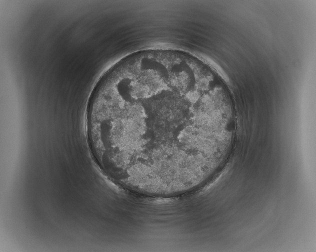 X0000111810839200909031429