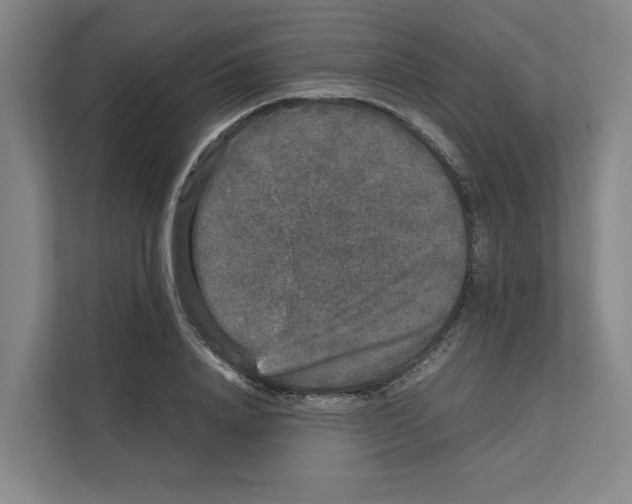 X0000111810840200909031429