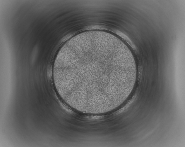 X0000111810841200909031429