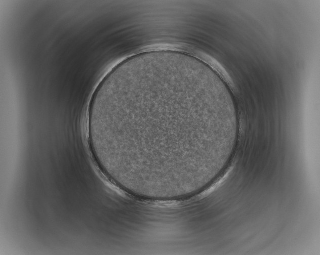 X0000111810844200909031429