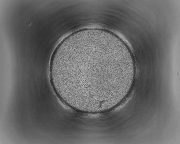 X0000111810845200909031429
