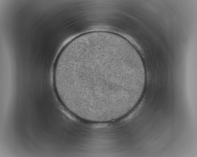 X0000111810846200909031429