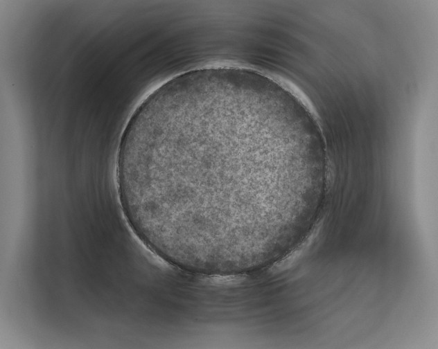 X0000111810847200909031429