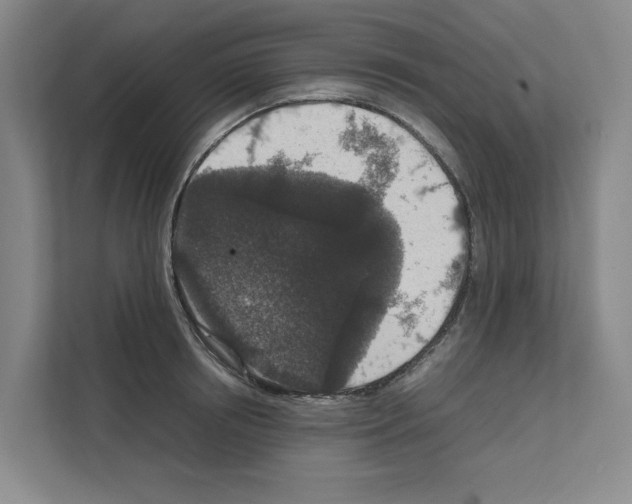 X0000111810850200909031429