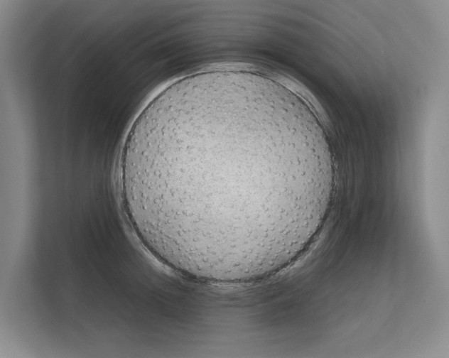 X0000111810852200909031429