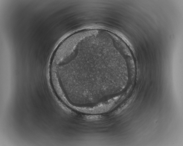 X0000111810853200909031429