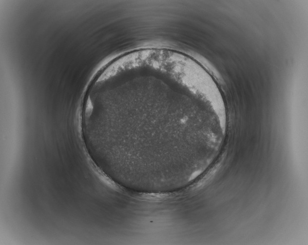 X0000111810854200909031429