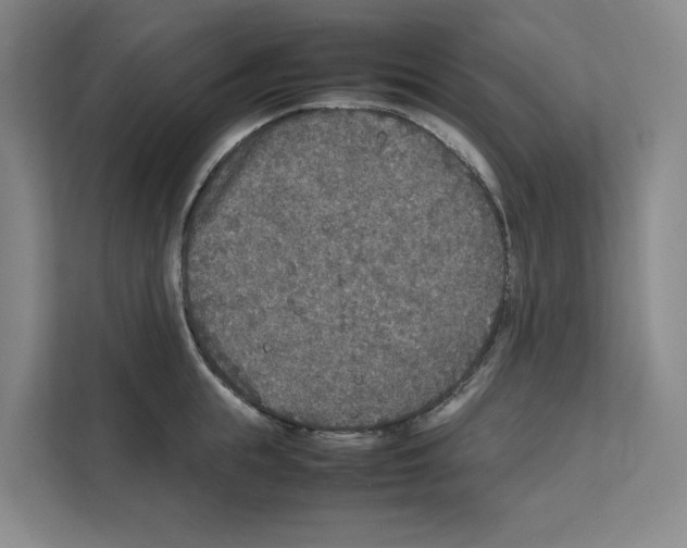 X0000111810855200909031429
