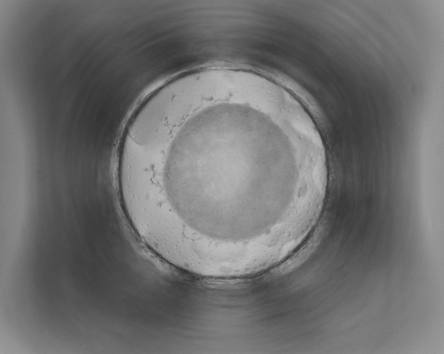 X0000111810856200909031429