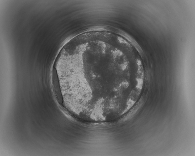 X0000111810858200909031429