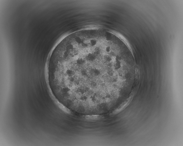 X0000111810859200909031429