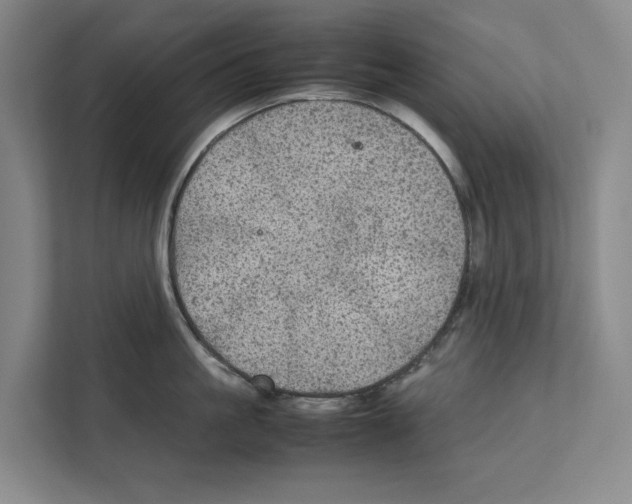 X0000111810861200909031429