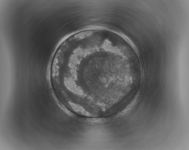 X0000111810862200909031429
