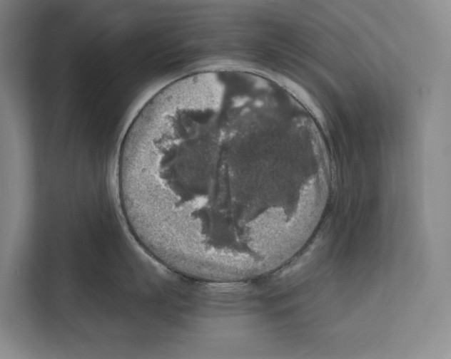 X0000111810863200909031429