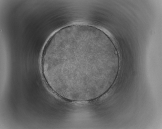 X0000111810864200909031429
