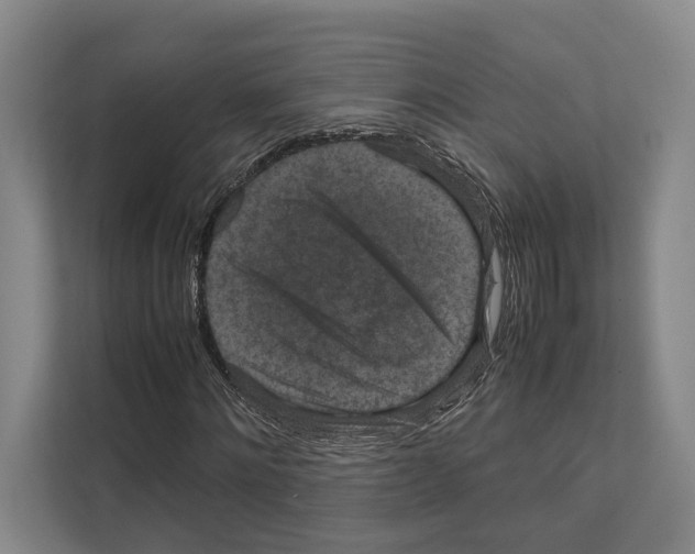 X0000111810868200909031428