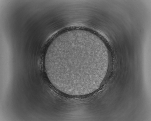 X0000111810872200909031428