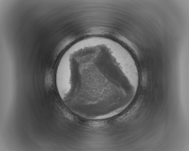 X0000111810874200909031428