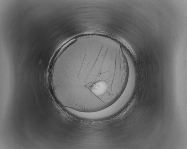 X0000111810876200909031428