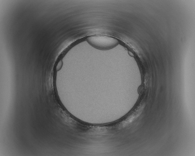 X0000111810877200909031428