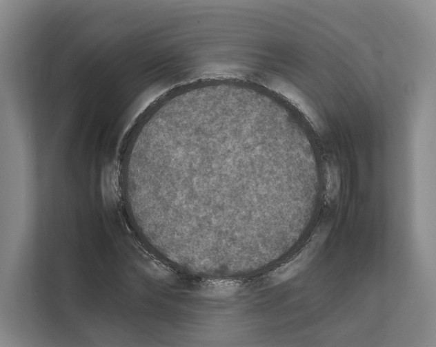 X0000111810878200909031428