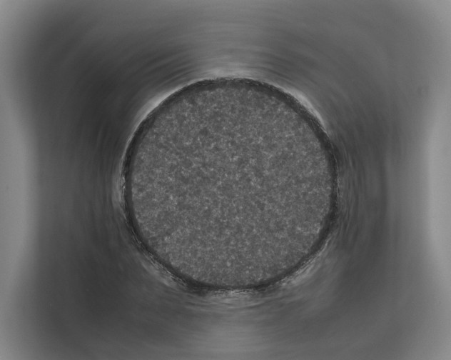 X0000111810879200909031428