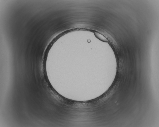 X0000111810880200909031428