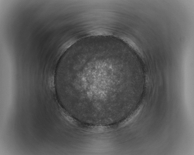 X0000111810881200909031428