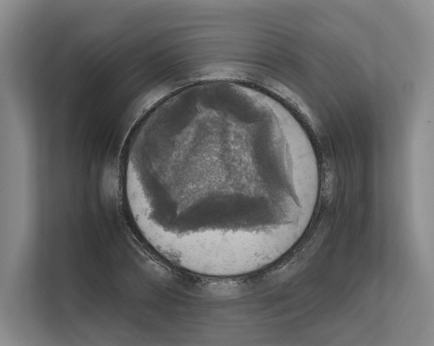 X0000111810882200909031428