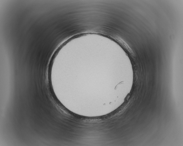 X0000111810884200909031428