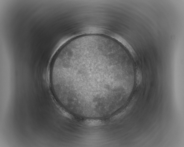 X0000111810886200909031428