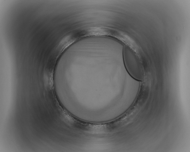 X0000111810889200909031428