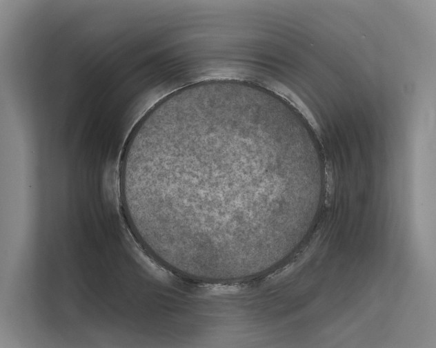 X0000111810890200909031428