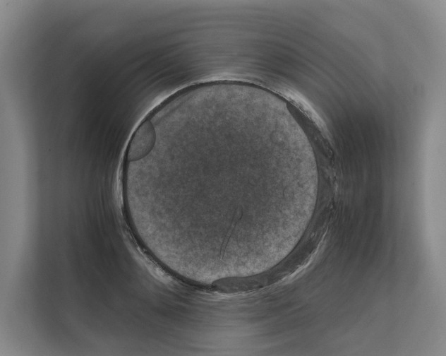 X0000111810892200909031428