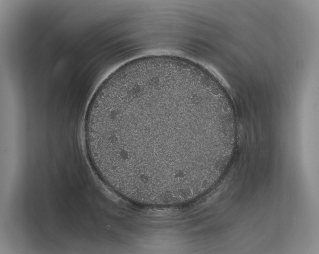 X0000111810895200909031428
