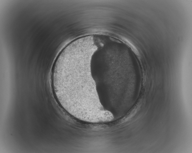 X0000111810899200909031428
