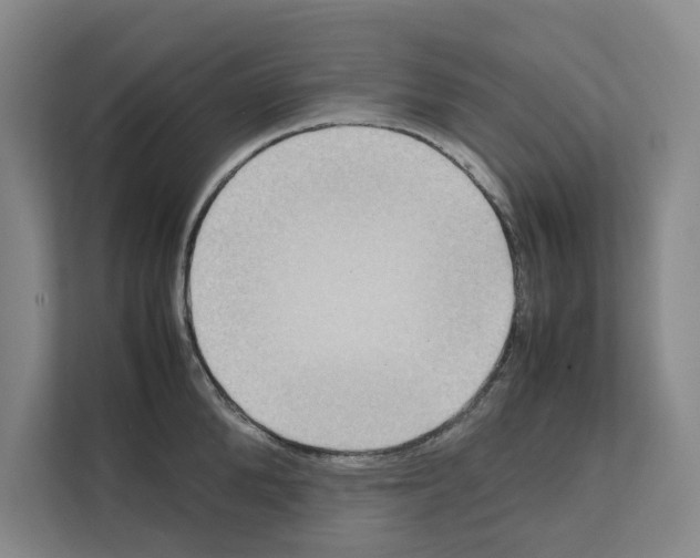 X0000111810904200909031428