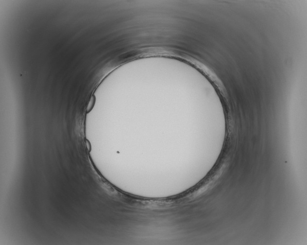 X0000111810905200909031428