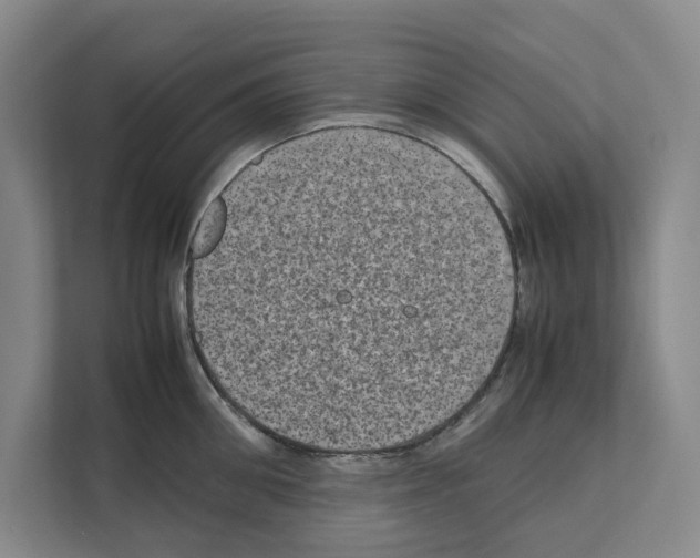 X0000111810906200909031428