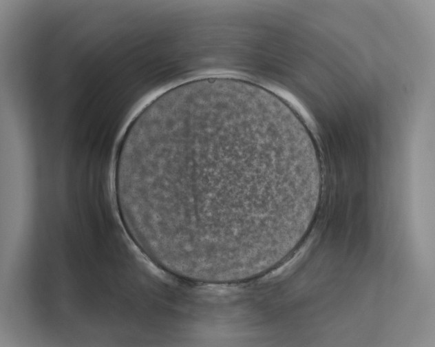 X0000111810910200909031428
