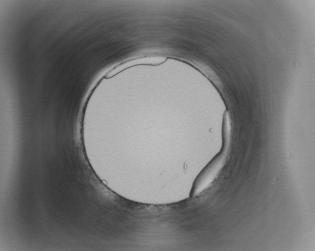 X0000111810912200909031428