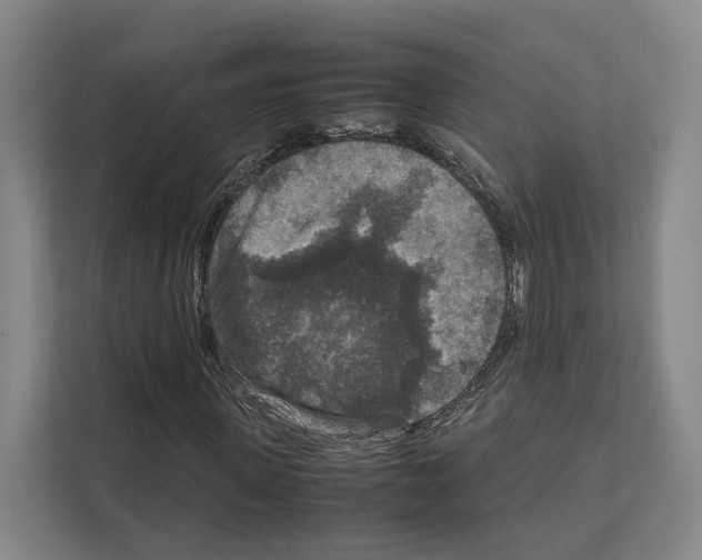 X0000111810915200909031427