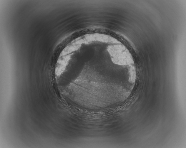 X0000111810919200909031427