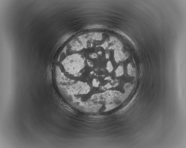 X0000111810921200909031427