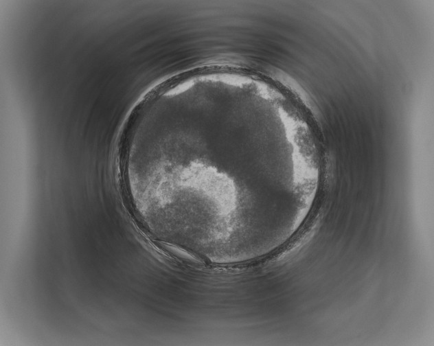 X0000111810923200909031427